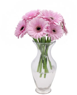 DK Design Bloemenvaas Mira - trompet vaas model - transparant glas - D18 x H37 cm