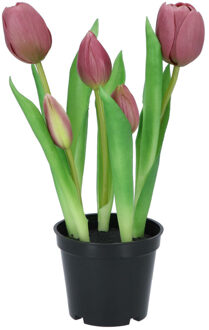 DK Design Kunst tulpen Holland in pot - 5x stuks - aubergine paars - real touch - 26 cm - Kunstbloemen