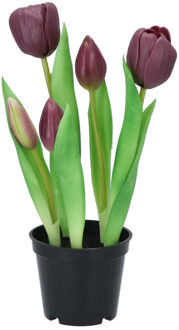 DK Design Kunst tulpen Holland in pot - 5x stuks - donker paars - real touch - 26 cm - Kunstbloemen