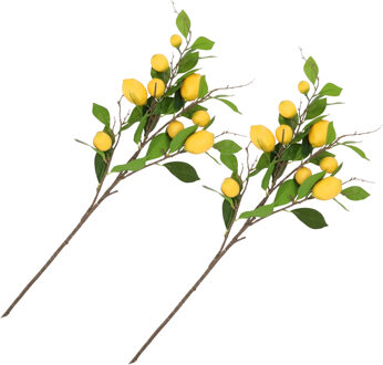 DK Design Kunstbloem citrusfruit tak citroen - 2x - 90 cm - geel - losse steel - Kunst zijdebloemen