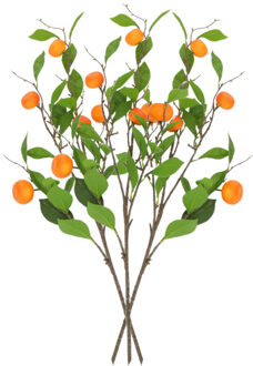 DK Design Kunstbloem citrusfruit tak mandarijn/clementine - 3x - 80 cm - oranje - losse steel - Kunst zijdeblo