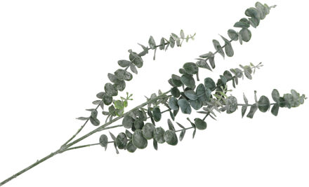 DK Design Kunstbloem Eucalyptus tak Real Touch - 88 cm - groen - Kunstbloemen