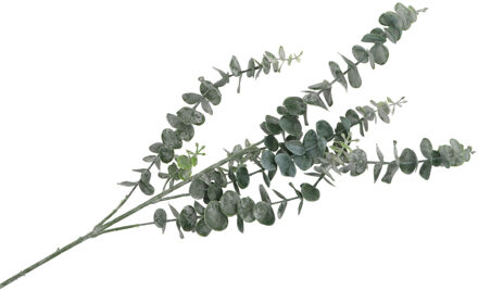 DK Design Kunstbloem Eucalyptus tak Real Touch - 88 cm - groen - losse steel - Kunst zijdebloemen Jade groen