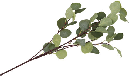 DK Design Kunstbloem Eucalyptus tak Real Touch - 90 cm - groen - Kunstbloemen