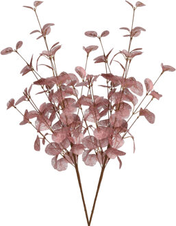 DK Design Kunstbloem Eucalyptus tak Silk - 2x - 72 cm - oudroze - Kunstbloemen