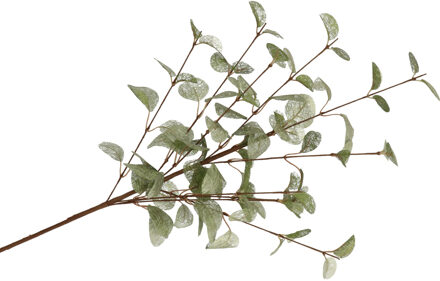 DK Design Kunstbloem Eucalyptus tak Silk - 72 cm - groen - losse steel - Kunst zijdebloemen Jade groen