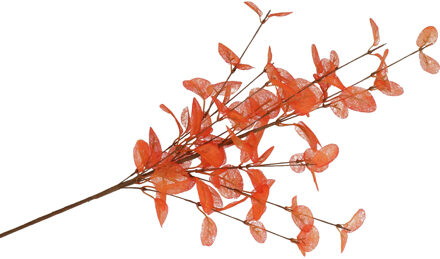 DK Design Kunstbloem Eucalyptus tak Silk - 72 cm - oranje - losse steel - Kunst zijdebloemen Licht oranje