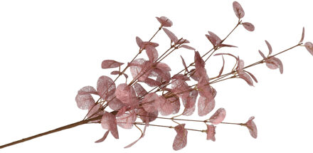 DK Design Kunstbloem Eucalyptus tak Silk - 72 cm - oudroze - losse steel - Kunst zijdebloemen