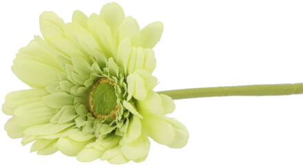 DK Design Kunstbloem Gerbera - 72 cm - lichtgroen - Real Touch - kunst zijdebloemen