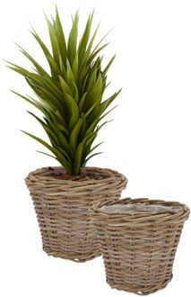 DK Design Plantenmand/aardappelmand Ivy - 2x - met binnenzak - rotan - B28 x H23 cm - binnen/buiten bloempotte