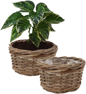 DK Design Plantenmand/aardappelmand tafelmodel - 2x - Ivy - met binnenzak - rotan - B25 x H13 cm - binnen/buit