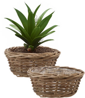 DK Design Plantenmand/aardappelmand tafelmodel - 2x - Ivy - met binnenzak - rotan - B30 x H13 cm - binnen/buit