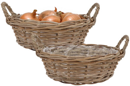 DK Design Plantenmand/aardappelmand tafelmodel - 2x - Ivy - met handvatten - rotan - B25 x H13 cm - binnen/bui