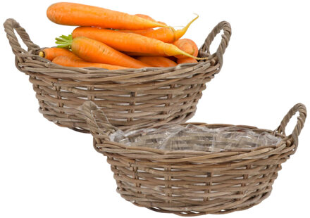 DK Design Plantenmand/aardappelmand tafelmodel - 2x - Ivy - met handvatten - rotan - B30 x H13 cm - binnen/bui