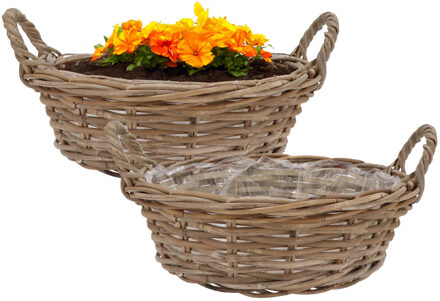 DK Design Plantenmand/aardappelmand tafelmodel - 2x - Ivy - met handvatten - rotan - B40 x H13 cm - binnen/bui