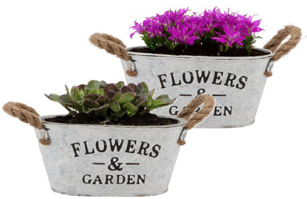 DK Design Plantenpot/bloempot teil Jardin - 2x - ovaal - zink - wit - L21 x D13 x H10 cm