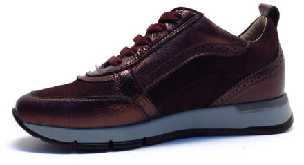 DL Sport 6719 Paars - 39