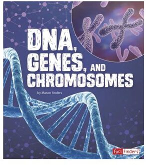 DNA, Genes, and Chromosomes