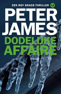 Dodelijke affaire - Peter James - ebook