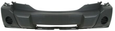 Dodge Bumper 5510000933900P