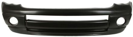 Dodge Bumper 5510000934901P