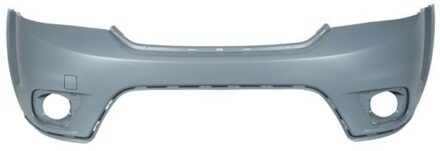 Dodge Bumper 5510002050900P