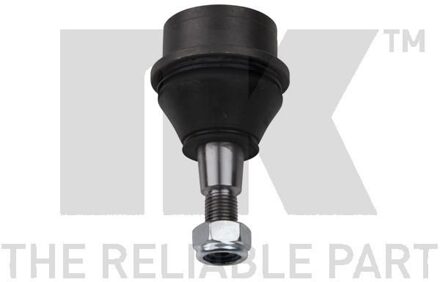 Dodge Fuseekogel 5049301