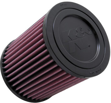 Dodge K&N vervangingsfilter passend voor Jeep Compass L4-2.4L 2011 (E-1998) E1998
