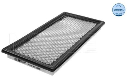 Dodge Luchtfilter 44123210004