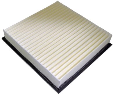 Dodge luchtfilter ADL142224