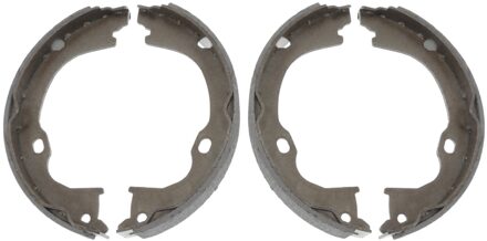 Dodge remschoenset 171045