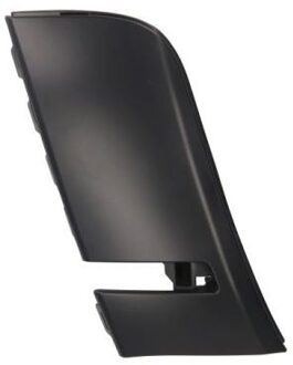 Dodge Sier- / beschermingspaneel, bumper 6502070950922P