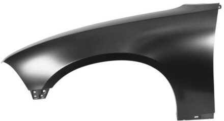 Dodge Spatbord 6504040932311P