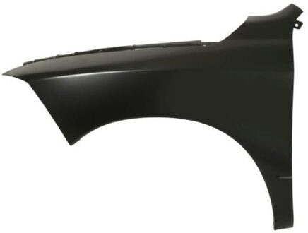 Dodge Spatbord 6504040935311P