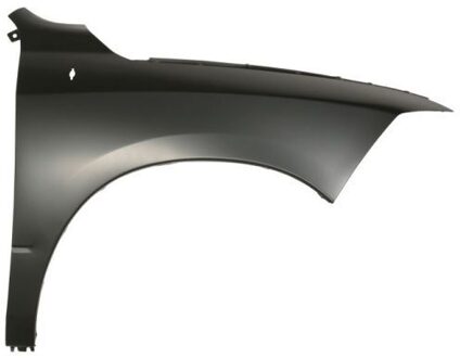 Dodge Spatbord 6504040935312P