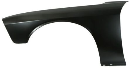 Dodge Spatbord 6504040949311P