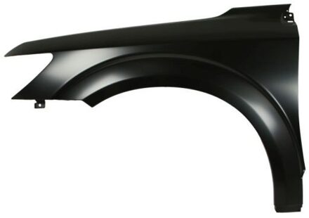 Dodge Spatbord 6504042050313P