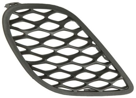 Dodge Ventilatiegrille, bumper 6502070932913SP