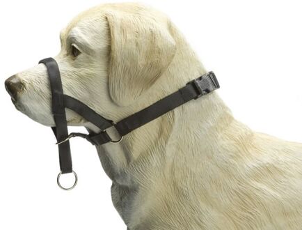 Dog Control - Hondenhalsband - Zwart - L