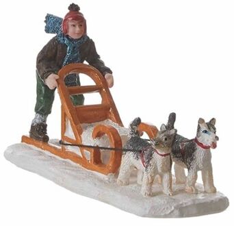 Dog Sleigh Multikleur