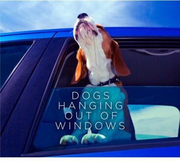 Dogs Hanging Out Of Windows