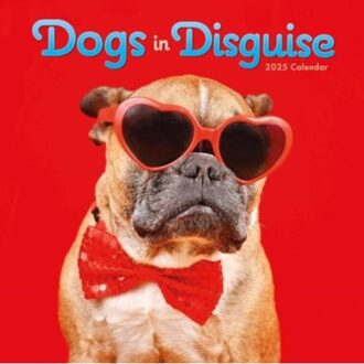 Dogs In Disguise Square Wall Calendar 2025 - Calendars, Carousel