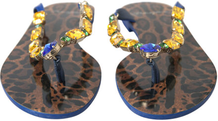 Dolce & Gabbana Geverfde Tanga Sandalen met Luipaardprint Blauw - 36.5 EU/IT