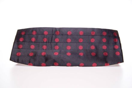 Dolce & Gabbana Polka Dot Ceintuur met Verstelbare Band Donkergrijs