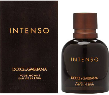Dolce & Gabbana Pour Homme Intenso Eau de Parfum Spray 40 ml