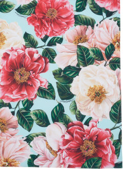 Dolce & Gabbana sjaal Blauw