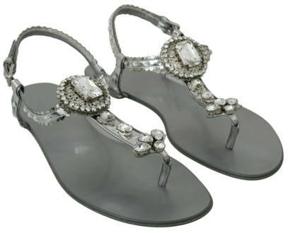 Dolce & Gabbana Zilveren Kristal Flip Flops - Glamoureus en Authentiek Dolce & Gabbana , Gray , Dames - 37 Eu,38 1/2 Eu,37 1/2 EU