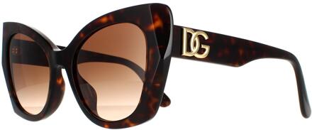 Dolce & Gabbana zonnebril DG4405F 502/13 Dark Havana Brown Gradiënt Bruin - One Size
