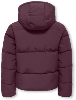 Dolly Short Puffer Winterjas Meisjes - 140