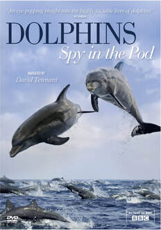 Dolphins - Spy In The Pod